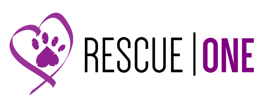 rescue-one-springfield-mo-hd-png-download